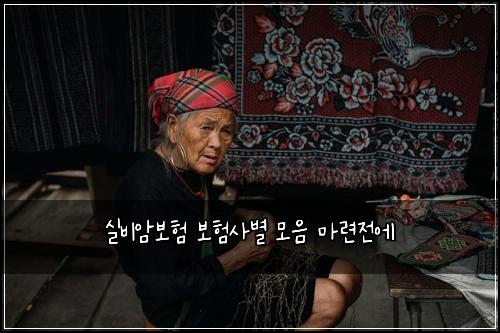 실비암보험 보험사별 모음 마련전에