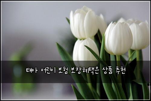 νμ μ΄λ¦°μ΄ 보ν 보μ₯ννμ μν μΆμ²