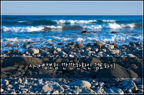 시니어암보험 깐깐한확인  검토하기