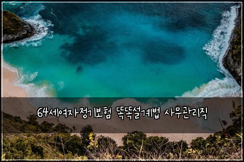 64세여자정기보험 똑똑설계법  사무관리직