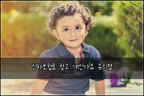 ์ ์ฐจ๋ณดํ๋ฃ ์ฐพ๊ณ ๊ณ์ ๊ฐ์ ์ ์์ 