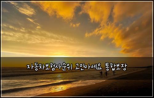 자동차보험사순위 고민마세요 통합보장