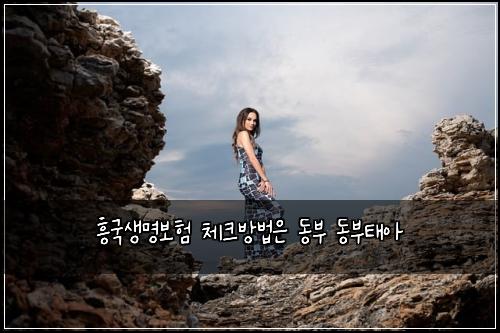 ํฅ๊ตญ์๋ช
๋ณดํ ์ฒดํฌ๋ฐฉ๋ฒ์ ๋๋ถ ๋๋ถํ์