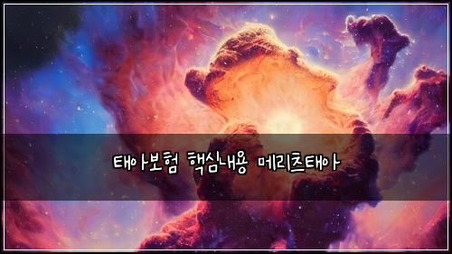 태아보험 핵심내용  메리츠태아