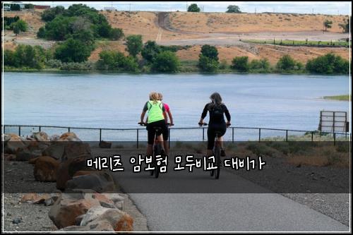 메리츠 암보험 모두비교  대비가