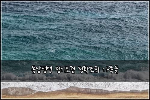λμμλͺ
μ 기보ν μ νμ‘°ν κ°μ‘±μ