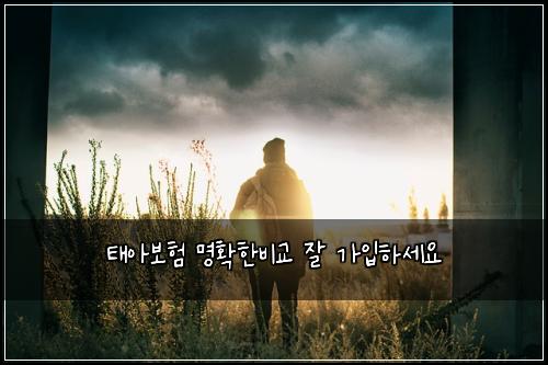 태아보험 명확한비교  잘 가입하세요