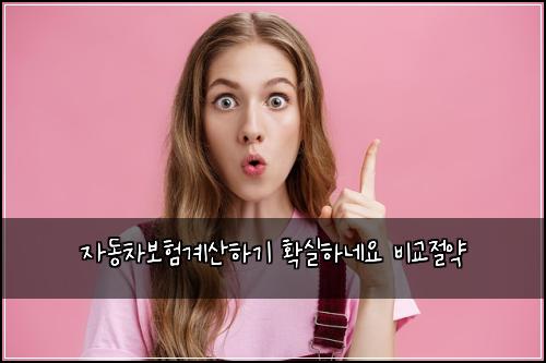 자동차보험계산하기 확실하네요 비교절약
