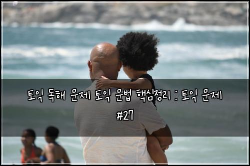 토익 독해 문제 토익 문법 핵심정리 : 토익 문제 #27