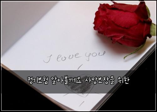 ์ ๊ธฐ๋ณดํ ์์๋ณผ๊ป์ ์ฌ๋ง๋ณด์ฅ์ ์ํ