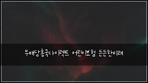 무배당흥국다이렉트 어린이보험 든든한미래 