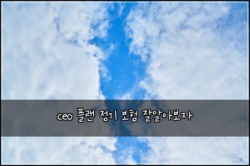 ceo 플랜 정기 보험 잘알아보자 