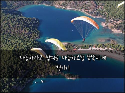 자동차사고 합의금 자동차보험 똑똑하게 챙기기