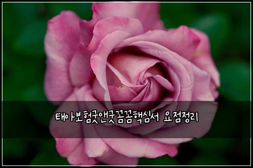 ํ์๋ณดํ๊ตฟ์ค๊ตฟ๊ผผ๊ผผํต์ฌ์ ์์ ์ ๋ฆฌ