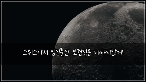 스위스에서 임신출산 보험적용 비싸지않게