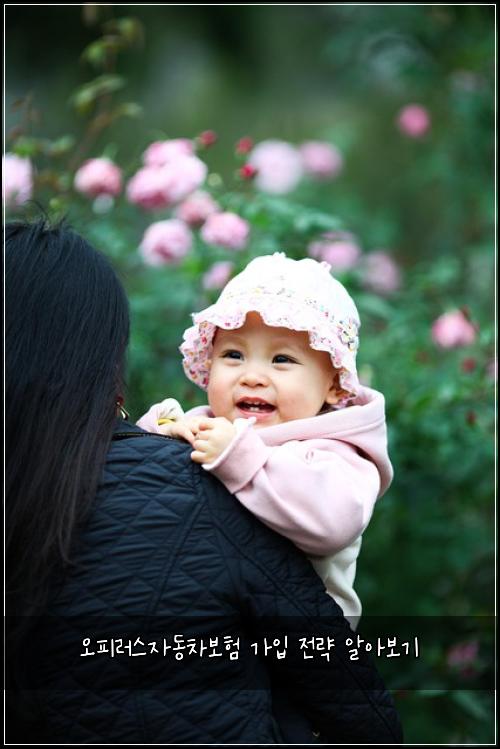 오피러스자동차보험 가입 전략 알아보기