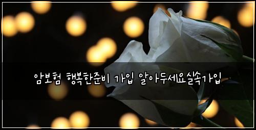 암보험 행복한준비  가입 알아두세요실속가입