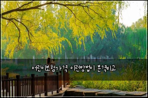 어린이보험가격 이런방법이 본격비교