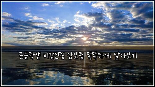 초등학생 비갱신형 암보험 똑똑하게 알아보기