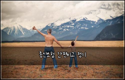 종신보험 간편비교  정기