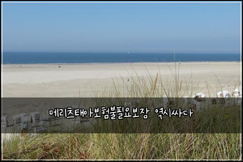 메리츠태아보험불필요보장 역시싸다