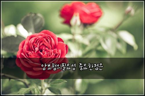 암보험의필요성 중요한점은