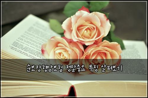 ์๋ณด์ฅํ์๋ณดํ ์ ๋ง์ค์ ํน์ง ์ดํด๋ณด๊ธฐ