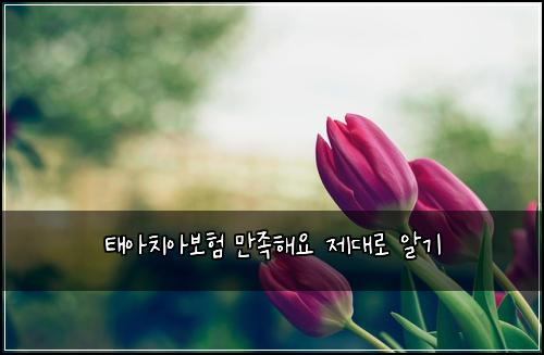 태아치아보험 만족해요  제대로 알기
