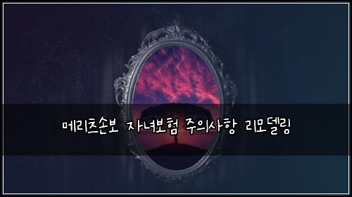 ๋ฉ๋ฆฌ์ธ ์๋ณด ์๋
๋ณดํ ์ฃผ์์ฌํญ ๋ฆฌ๋ชจ๋ธ๋ง