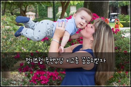 정기보험 추천상담  비교좀 꼼꼼히받자