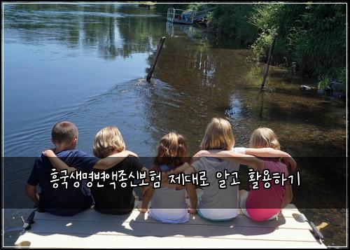 흥국생명변액종신보험 제대로 알고 활용하기