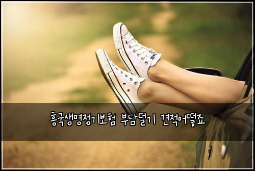 ํฅ๊ตญ์๋ช
์ ๊ธฐ๋ณดํ ๋ถ๋ด๋๊ธฐ ๊ฒฌ์ ์ด๋ป์ฃ