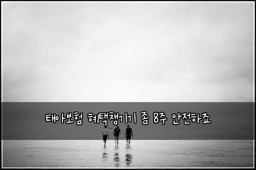 ํ์๋ณดํ ํํ์ฑ๊ธฐ๊ธฐ ์ข 8์ฃผ ์์ ํ์ฃ