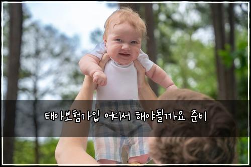 태아보험가입 어디서 해야될까요 준비