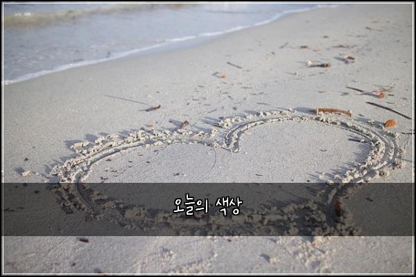 오늘의 색상
