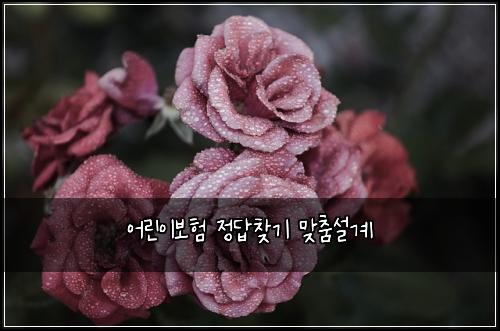 어린이보험 정답찾기  맞춤설계