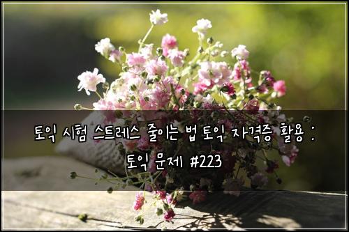 토익 시험 스트레스 줄이는 법 토익 자격증 활용 : 토익 문제 #223