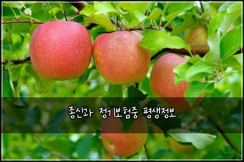 종신과 정기보험중 평생정보