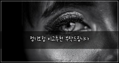 정기보험 비교추천  부탁드립니다