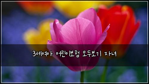 3세여아 어린이보험 모두보기  자녀