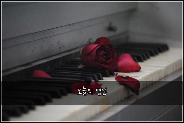 오늘의 명언
