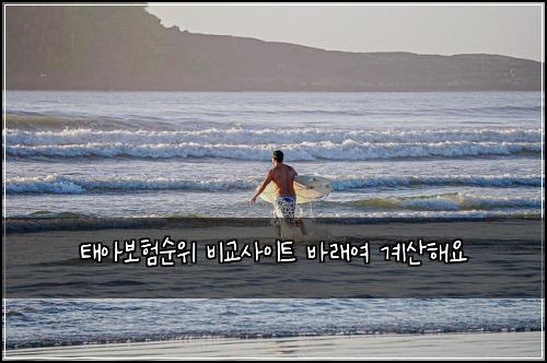 ํ์๋ณดํ์์ ๋น๊ต์ฌ์ดํธ ๋ฐ๋์ฌ ๊ณ์ฐํด์