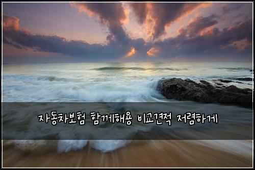 ์๋์ฐจ๋ณดํ ํจ๊ปํด์ฉ ๋น๊ต๊ฒฌ์ ์ ๋ ดํ๊ฒ