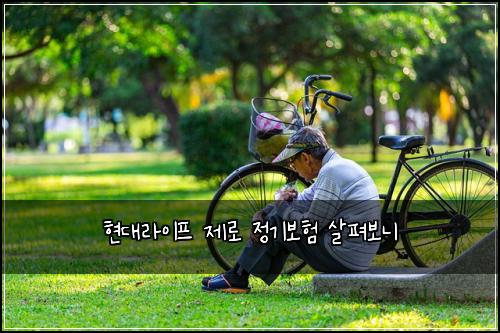 현대라이프 제로 정기보험 살펴보니