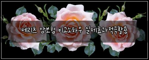 메리츠 암보험 비교노하우  실제효과적극활용