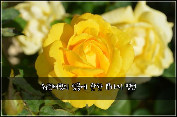 워렌버핏의 성공에 관한 17가지 명언