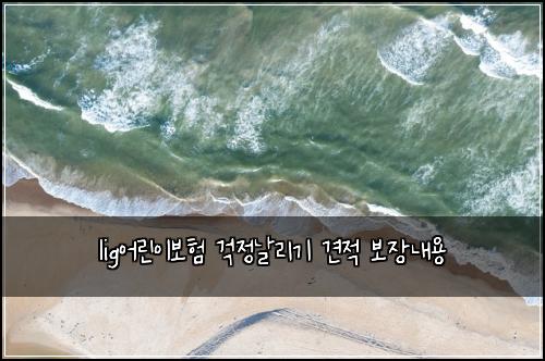 lig어린이보험 걱정날리기  견적 보장내용