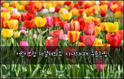 어린이보험 해결해봐요  자녀의미래 유용한팁