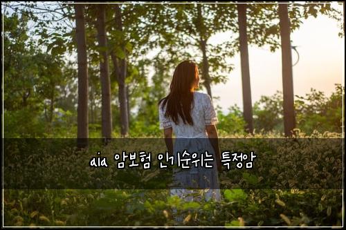aia ์๋ณดํ ์ธ๊ธฐ์์๋ ํน์ ์