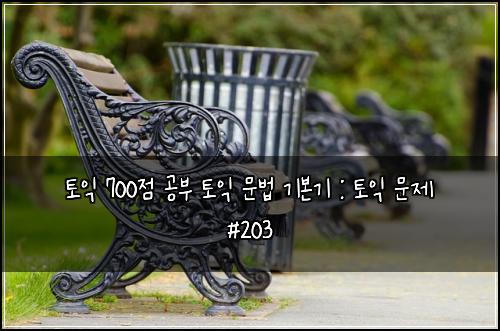 토익 700점 공부 토익 문법 기본기 : 토익 문제 #203